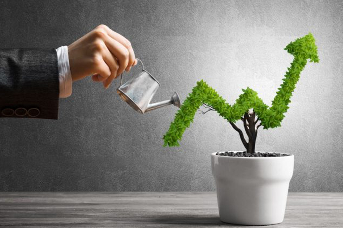 Inversión​